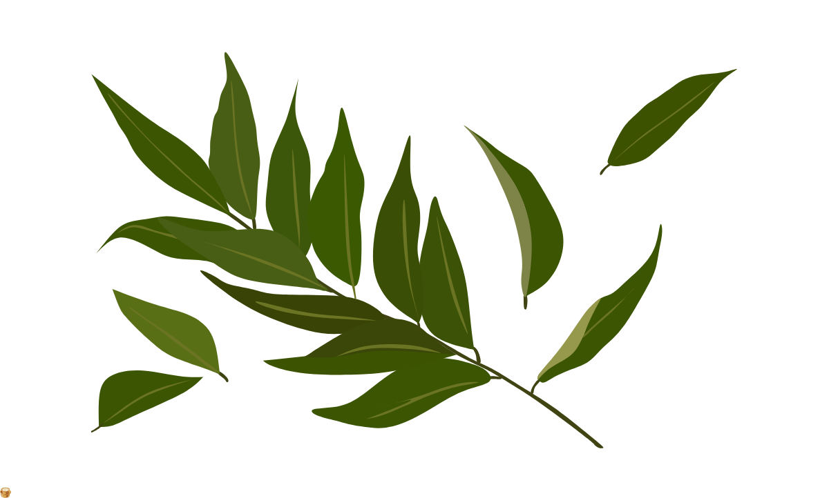 Hygienic kitchen at The Bhadrachalam Cafe